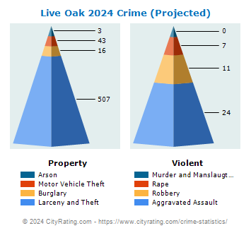 Live Oak Crime 2024
