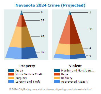 Navasota Crime 2024