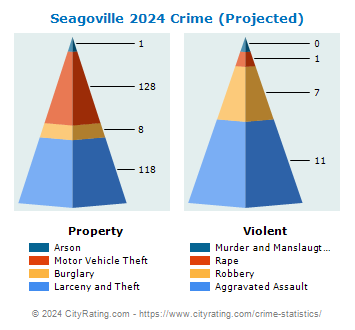 Seagoville Crime 2024