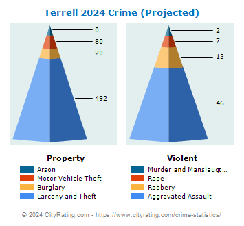 Terrell Crime 2024