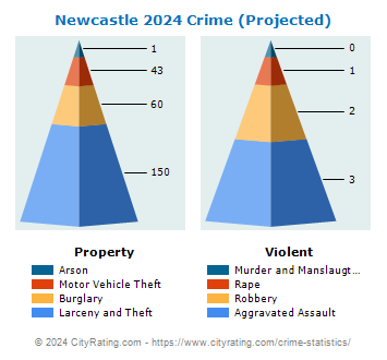 Newcastle Crime 2024