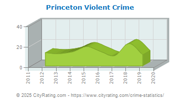 Princeton Violent Crime