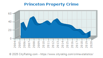 Princeton Property Crime