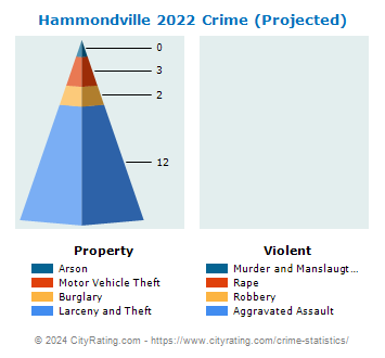 Hammondville Crime 2022