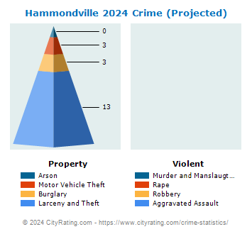 Hammondville Crime 2024
