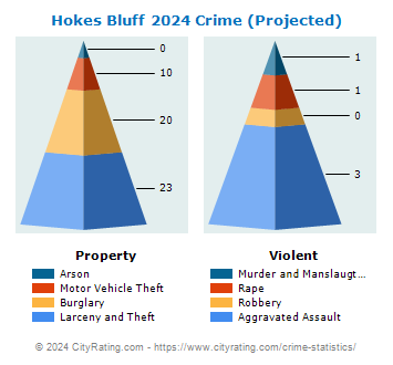 Hokes Bluff Crime 2024