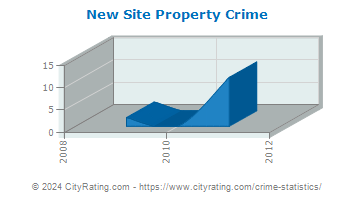 New Site Property Crime