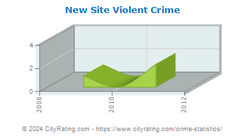 New Site Violent Crime
