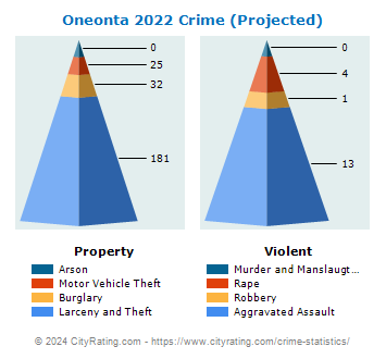 Oneonta Crime 2022