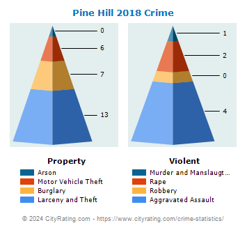 Pine Hill Crime 2018