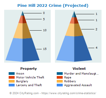 Pine Hill Crime 2022