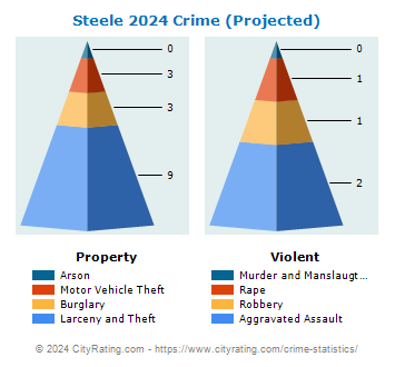 Steele Crime 2024