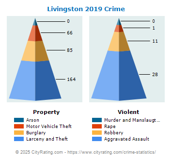 Livingston Crime 2019