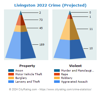 Livingston Crime 2022