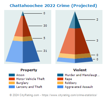 Chattahoochee Crime 2022