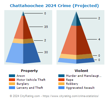 Chattahoochee Crime 2024