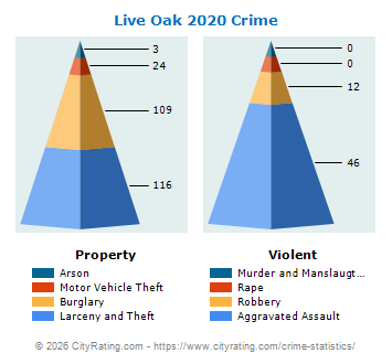 Live Oak Crime 2020