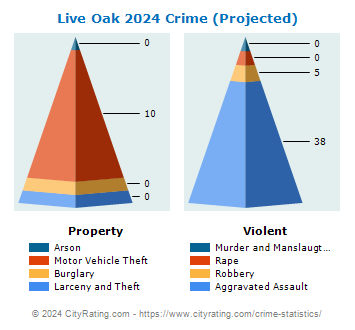 Live Oak Crime 2024