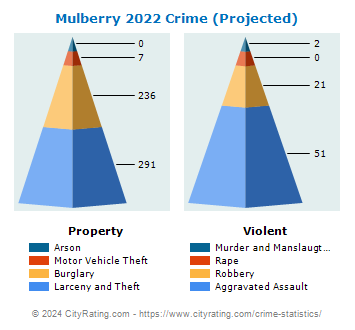 Mulberry Crime 2022