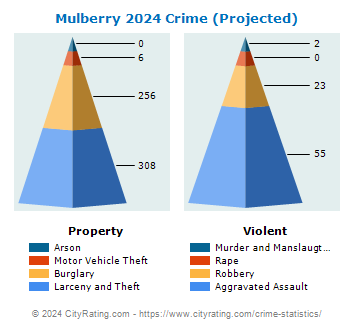Mulberry Crime 2024