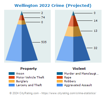 Wellington Crime 2022