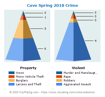 Cave Spring Crime 2018