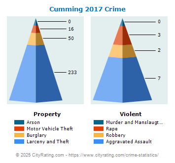 Cumming Crime 2017