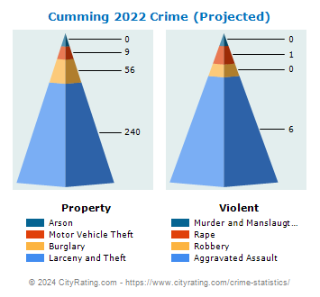 Cumming Crime 2022