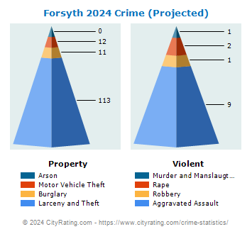 Forsyth Crime 2024