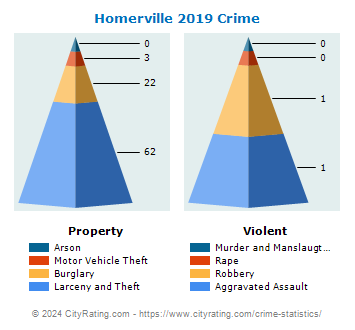 Homerville Crime 2019