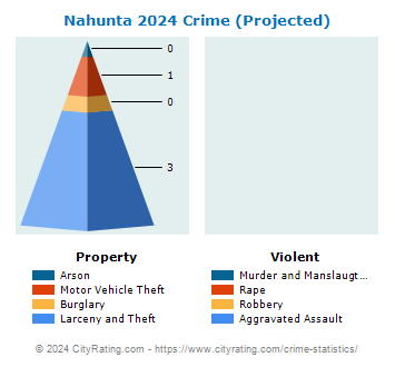 Nahunta Crime 2024