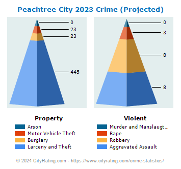 Peachtree City Crime 2023