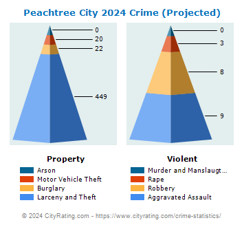 Peachtree City Crime 2024
