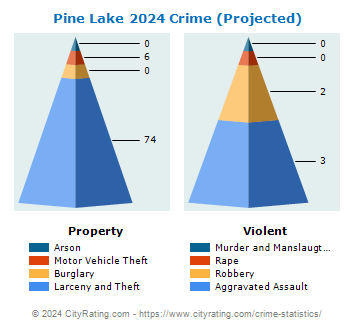 Pine Lake Crime 2024