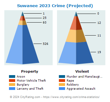 Suwanee Crime 2023