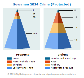 Suwanee Crime 2024
