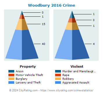 Woodbury Crime 2016