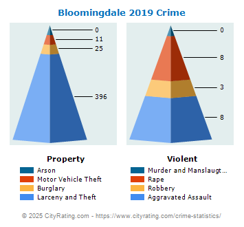 Bloomingdale Crime 2019