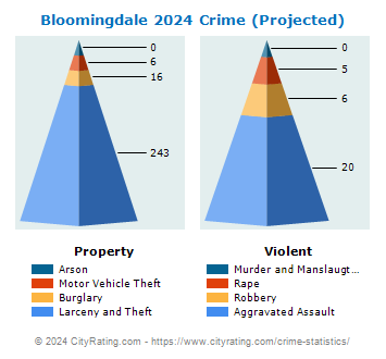 Bloomingdale Crime 2024