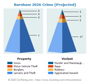 Burnham Crime 2026