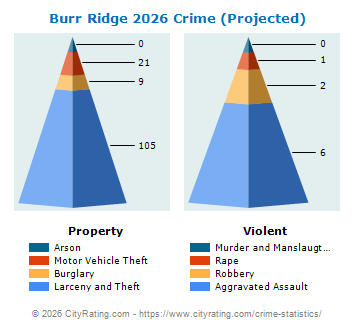 Burr Ridge Crime 2026