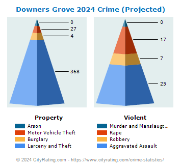Downers Grove Crime 2024