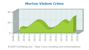Morton Violent Crime