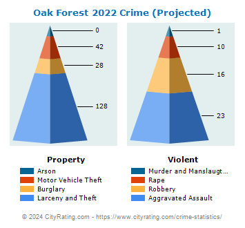 Oak Forest Crime 2022