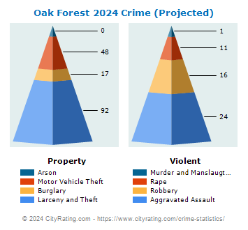 Oak Forest Crime 2024