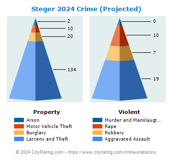 Steger Crime 2024