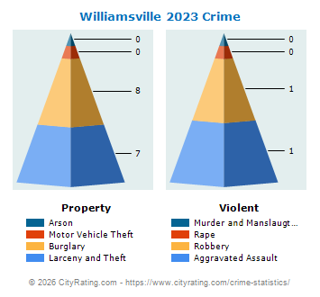 Williamsville Crime 2023