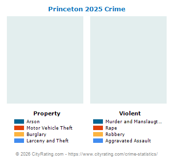 Princeton Crime 2025