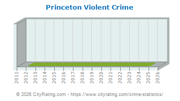 Princeton Violent Crime