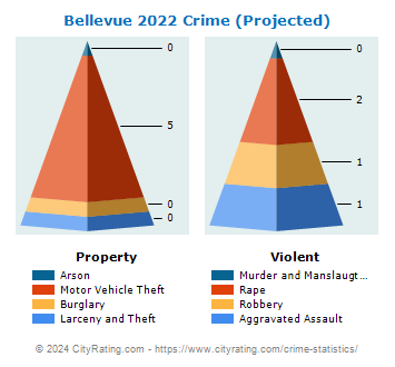 Bellevue Crime 2022